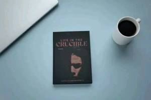life in the cubicle